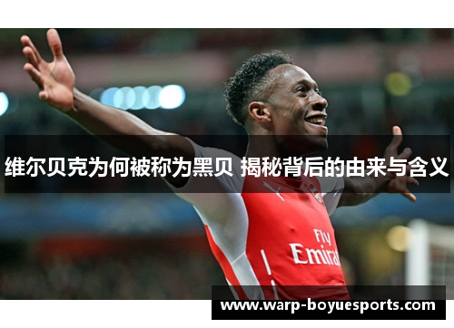 维尔贝克为何被称为黑贝 揭秘背后的由来与含义