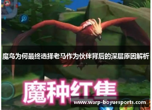 魔鸟为何最终选择老马作为伙伴背后的深层原因解析 魔鸟为何最终选择老马作为伙伴背后的深层原因解析
