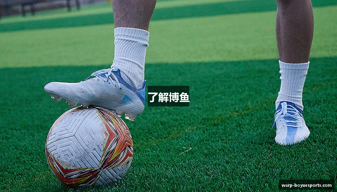 了解博鱼